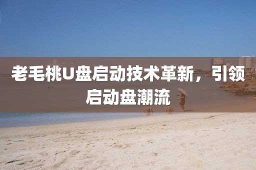 老毛桃U盤啟動技術(shù)革新，引領(lǐng)啟動盤潮流