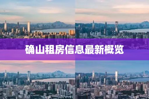 確山租房信息最新概覽