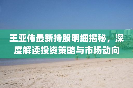 王亞偉最新持股明細揭秘，深度解讀投資策略與市場動向