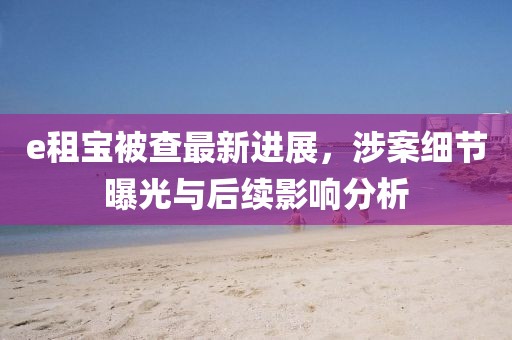 e租寶被查最新進(jìn)展，涉案細(xì)節(jié)曝光與后續(xù)影響分析