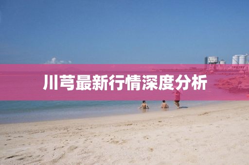 川芎最新行情深度分析