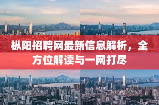 樅陽招聘網(wǎng)最新信息解析，全方位解讀與一網(wǎng)打盡