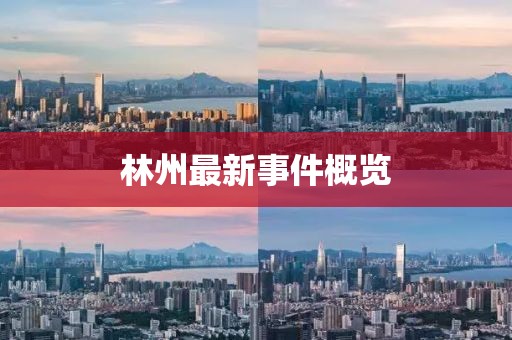 林州最新事件概覽