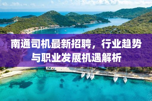 南通司機最新招聘，行業(yè)趨勢與職業(yè)發(fā)展機遇解析