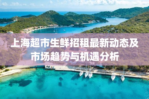 上海超市生鮮招租最新動態(tài)及市場趨勢與機遇分析
