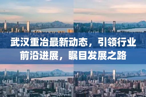 武漢重冶最新動態(tài)，引領行業(yè)前沿進展，矚目發(fā)展之路