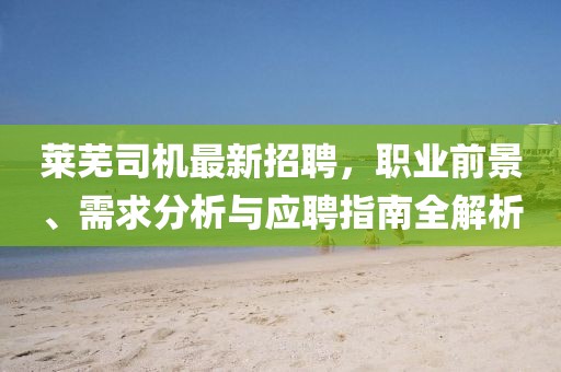 萊蕪司機(jī)最新招聘，職業(yè)前景、需求分析與應(yīng)聘指南全解析