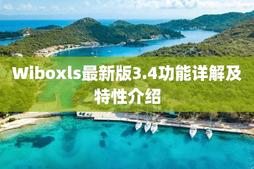 Wiboxls最新版3.4功能詳解及特性介紹