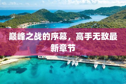 巔峰之戰(zhàn)的序幕，高手無(wú)敵最新章節(jié)