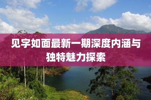 見字如面最新一期深度內(nèi)涵與獨特魅力探索