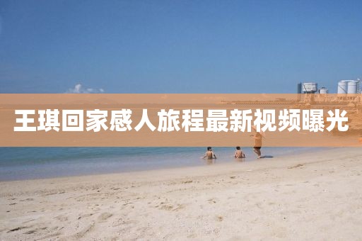王琪回家感人旅程最新視頻曝光