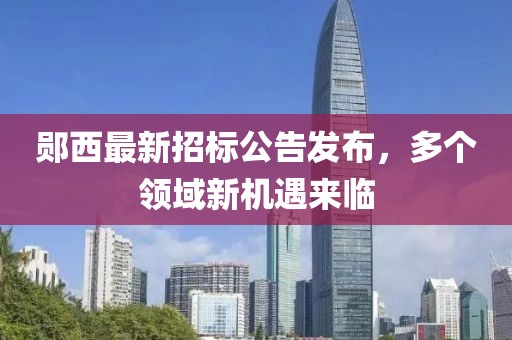 鄖西最新招標(biāo)公告發(fā)布，多個(gè)領(lǐng)域新機(jī)遇來(lái)臨
