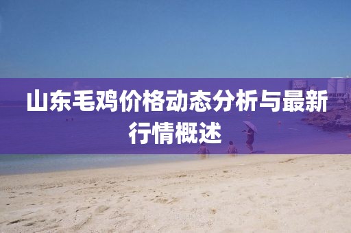 山東毛雞價格動態(tài)分析與最新行情概述