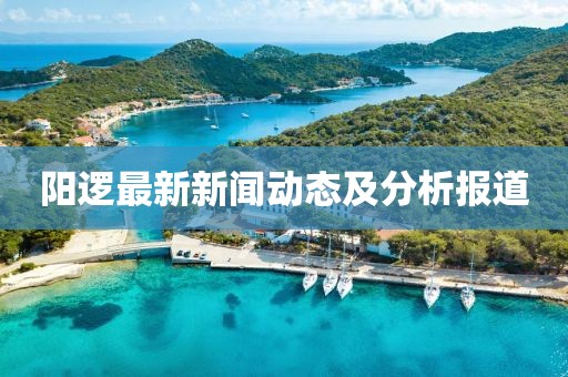 陽邏最新新聞動態(tài)及分析報道