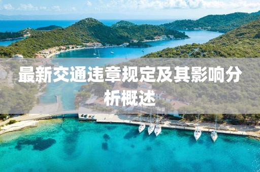 最新交通違章規(guī)定及其影響分析概述