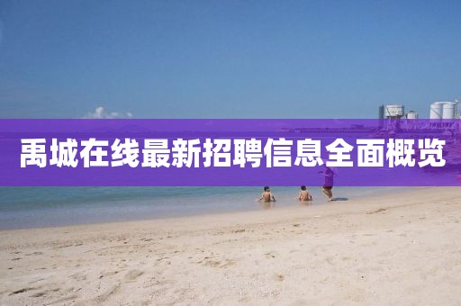 禹城在線最新招聘信息全面概覽