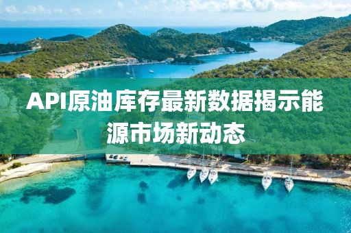 API原油庫存最新數(shù)據(jù)揭示能源市場新動態(tài)