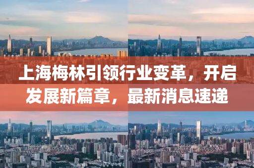 上海梅林引領行業(yè)變革，開啟發(fā)展新篇章，最新消息速遞