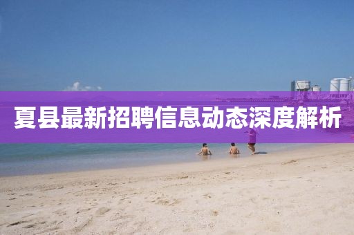 夏縣最新招聘信息動(dòng)態(tài)深度解析