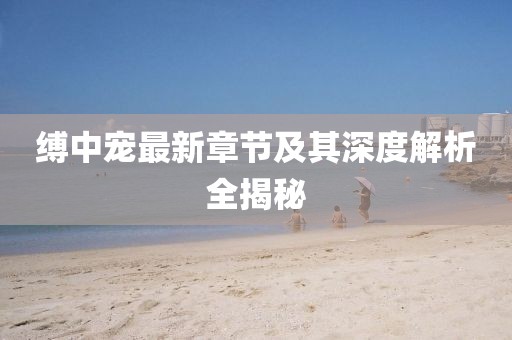 縛中寵最新章節(jié)及其深度解析全揭秘