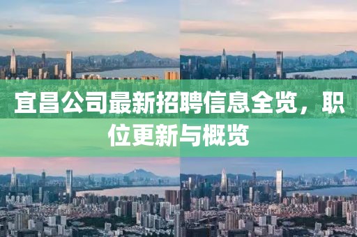宜昌公司最新招聘信息全覽，職位更新與概覽
