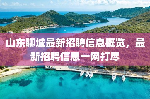 山東聊城最新招聘信息概覽，最新招聘信息一網(wǎng)打盡