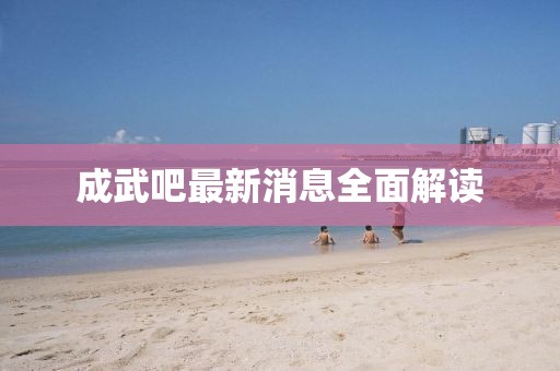 成武吧最新消息全面解讀