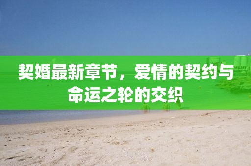 契婚最新章節(jié)，愛情的契約與命運(yùn)之輪的交織