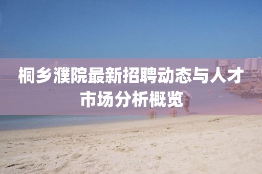 桐鄉(xiāng)濮院最新招聘動(dòng)態(tài)與人才市場分析概覽