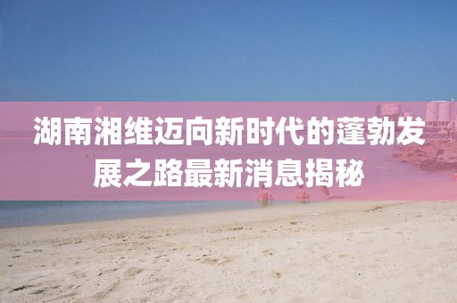 湖南湘維邁向新時(shí)代的蓬勃發(fā)展之路最新消息揭秘
