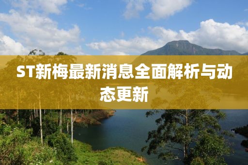 ST新梅最新消息全面解析與動(dòng)態(tài)更新