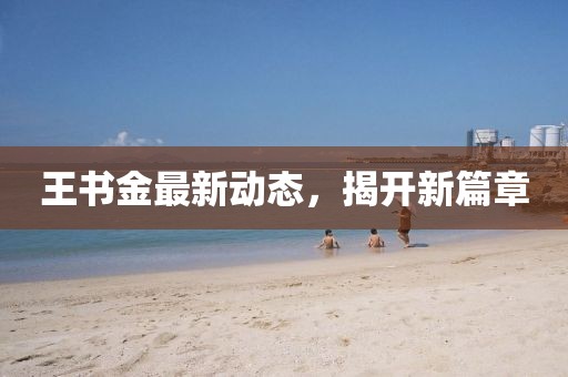 王書金最新動態(tài)，揭開新篇章