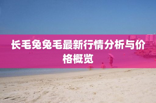 長毛兔兔毛最新行情分析與價格概覽