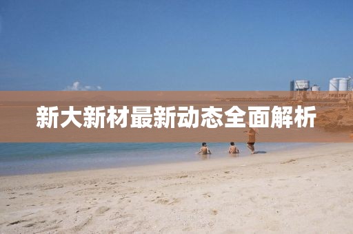 新大新材最新動態(tài)全面解析