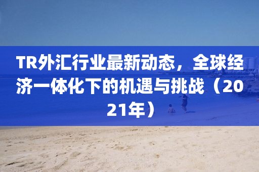 TR外匯行業(yè)最新動態(tài)，全球經(jīng)濟一體化下的機遇與挑戰(zhàn)（2021年）