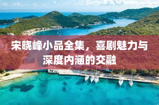 宋曉峰小品全集，喜劇魅力與深度內(nèi)涵的交融
