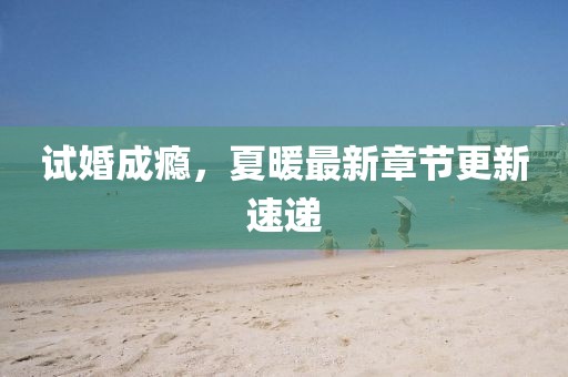 試婚成癮，夏暖最新章節(jié)更新速遞