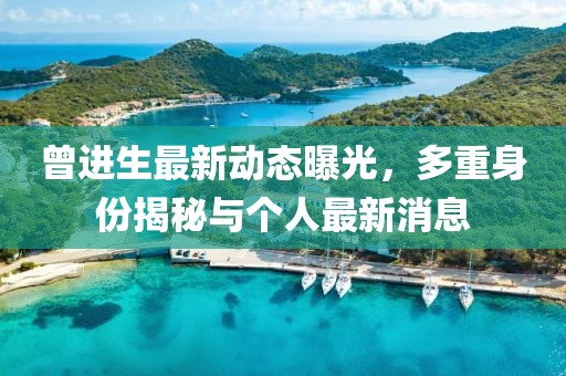 曾進生最新動態(tài)曝光，多重身份揭秘與個人最新消息