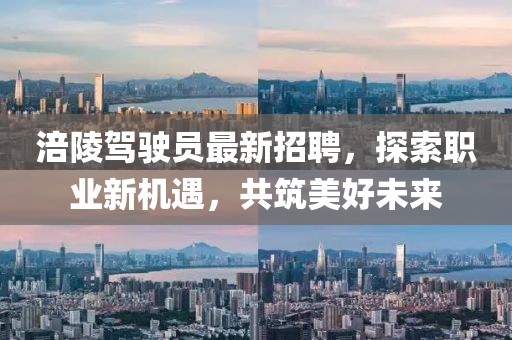 涪陵駕駛員最新招聘，探索職業(yè)新機遇，共筑美好未來