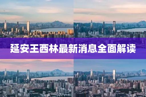 延安王西林最新消息全面解讀