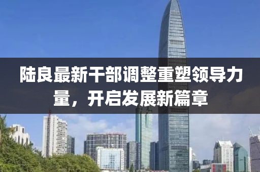 陸良最新干部調(diào)整重塑領(lǐng)導(dǎo)力量，開啟發(fā)展新篇章