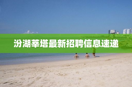 汾湖莘塔最新招聘信息速遞