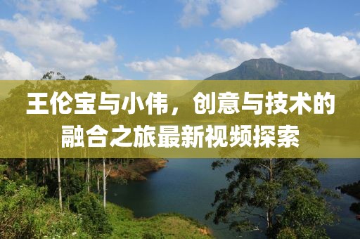 王倫寶與小偉，創(chuàng)意與技術(shù)的融合之旅最新視頻探索