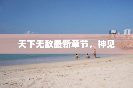 天下無敵最新章節(jié)，神見