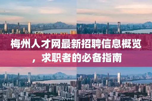 梅州人才網(wǎng)最新招聘信息概覽，求職者的必備指南