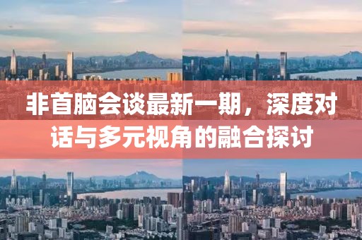非首腦會(huì)談最新一期，深度對(duì)話與多元視角的融合探討