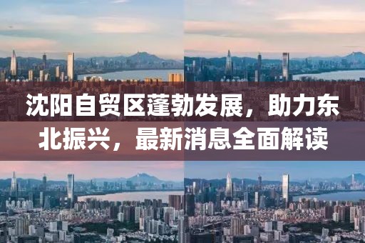 沈陽自貿(mào)區(qū)蓬勃發(fā)展，助力東北振興，最新消息全面解讀