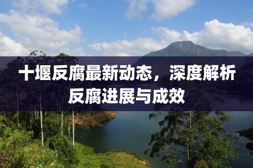 十堰反腐最新動(dòng)態(tài)，深度解析反腐進(jìn)展與成效