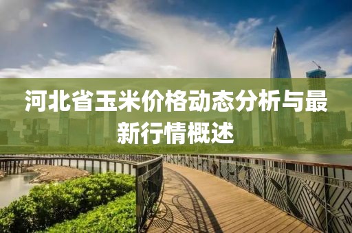 河北省玉米價格動態(tài)分析與最新行情概述