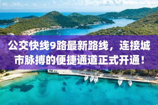 公交快線9路最新路線，連接城市脈搏的便捷通道正式開通！